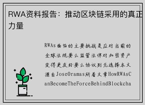 RWA资料报告：推动区块链采用的真正力量